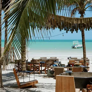 Отель Casa Tortugas Petit &
